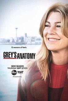 Grey's Anatomy saison 15