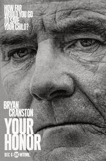 Your Honor saison 1